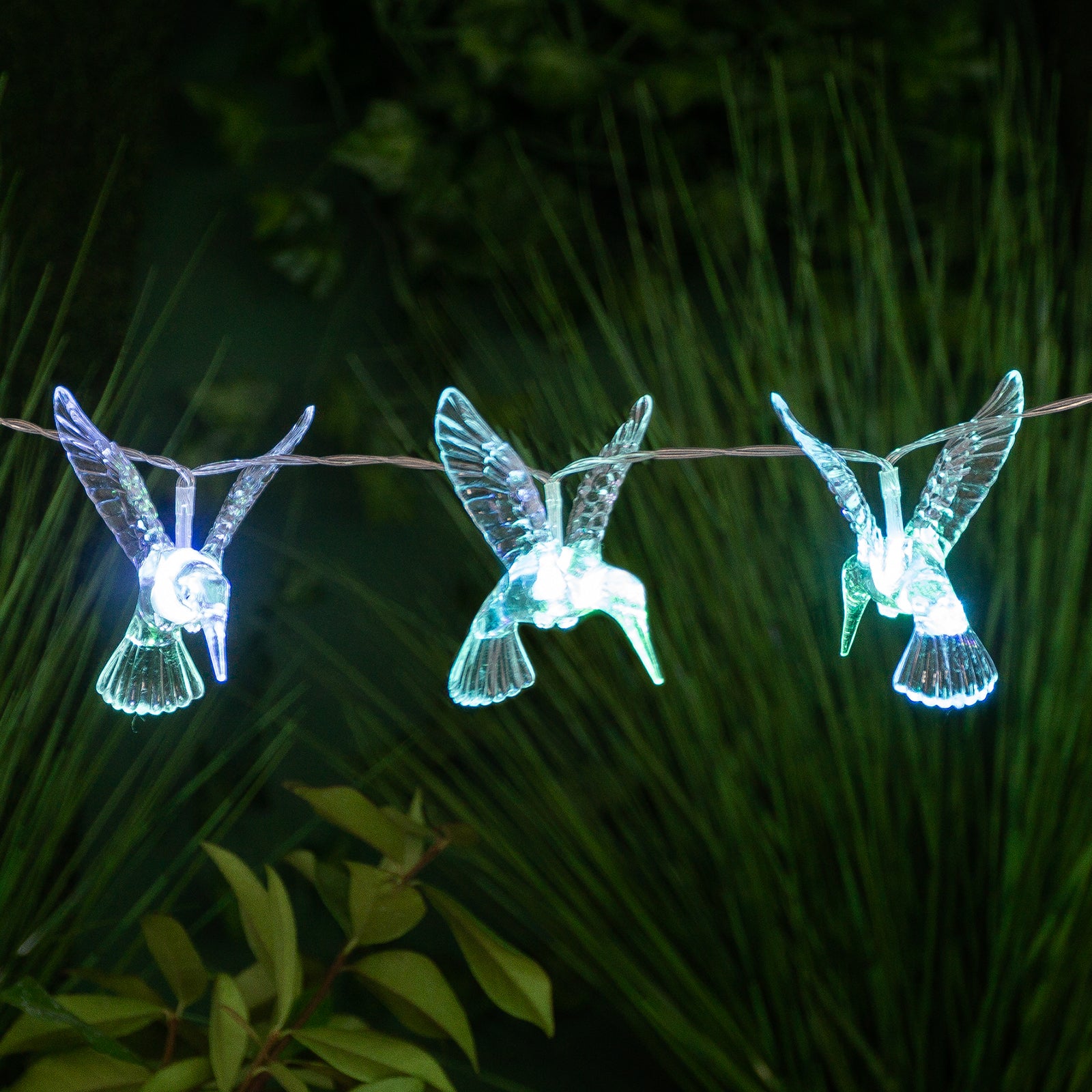 Hummingbird Solar String Lights