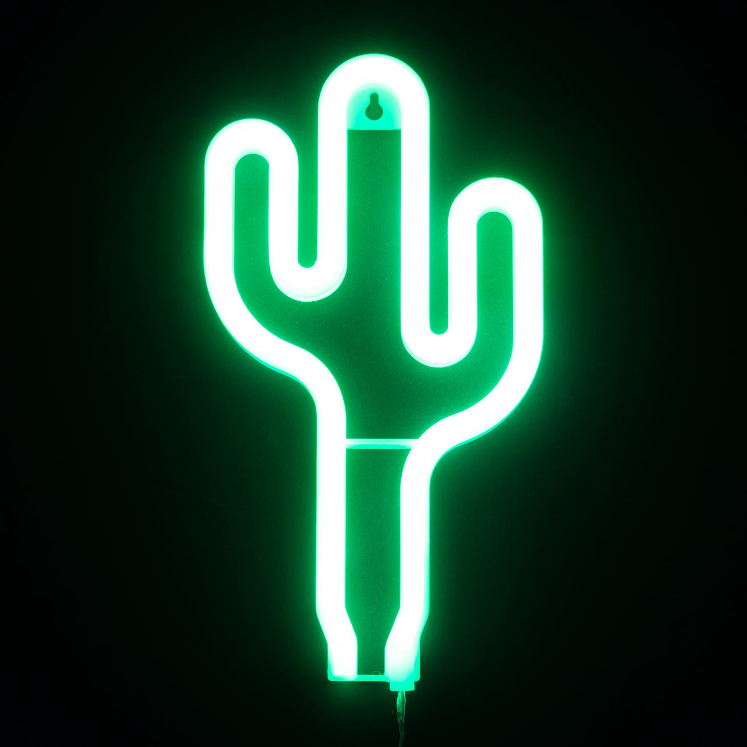 LED Neon Wall Light
