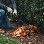 Telescopic Garden Leaf Rake