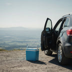 24L Insulated Cool Box