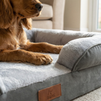 Elevated Dog Sofa Bed