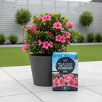 Peat-Free Ericaceous Compost