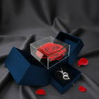 Eternal Rose & Necklace Gift Set