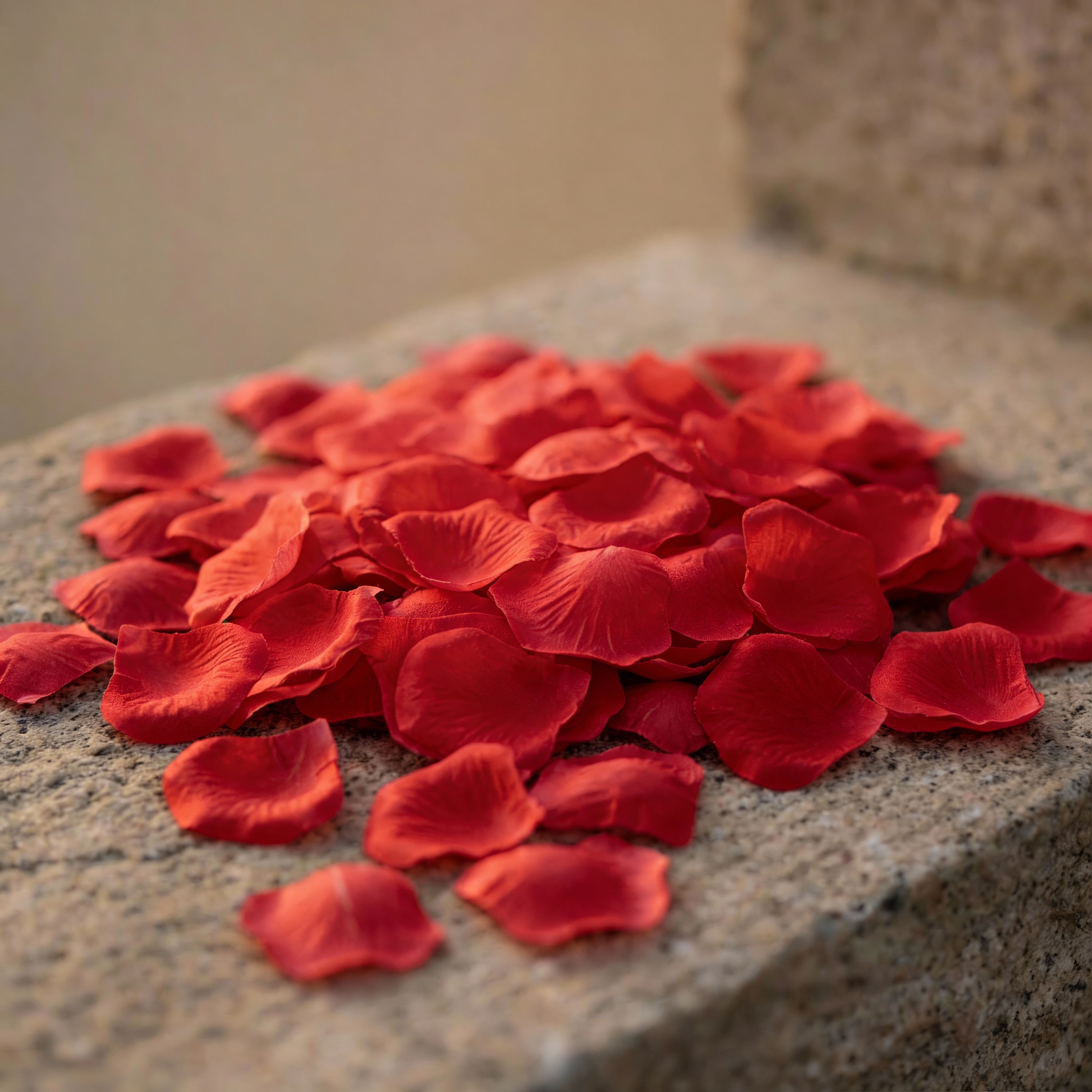 Realistic Decorative Rose Petals