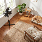 16 Oscillating Pedestal Fan