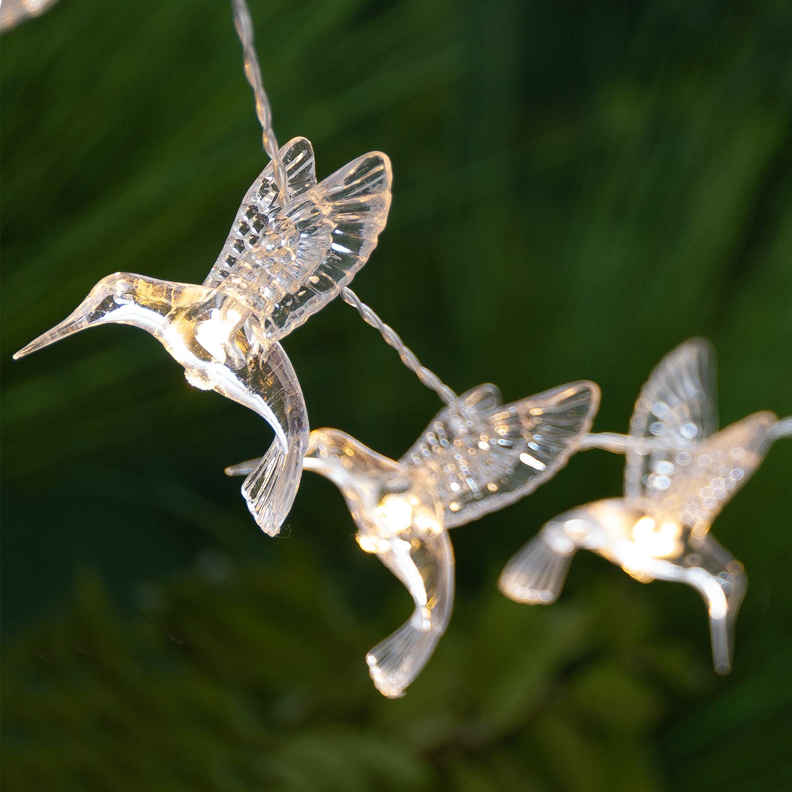 Hummingbird Solar String Lights