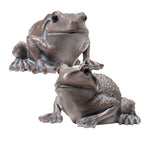 Garden Frog Ornament Set