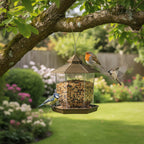 All-Weather Hanging Bird Feeder-Garden & Outdoor-GloBrite-Bronze-DREIBACH