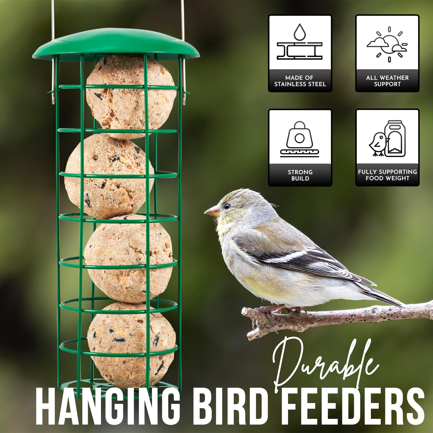 Squirrel-Proof 3-Pack Bird Feeder Set
