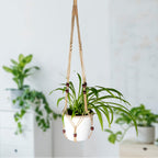 Handcrafted Macrame Plant Hanger