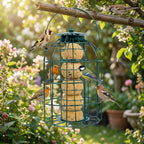 Secure Wild Bird Fat Ball Feeder