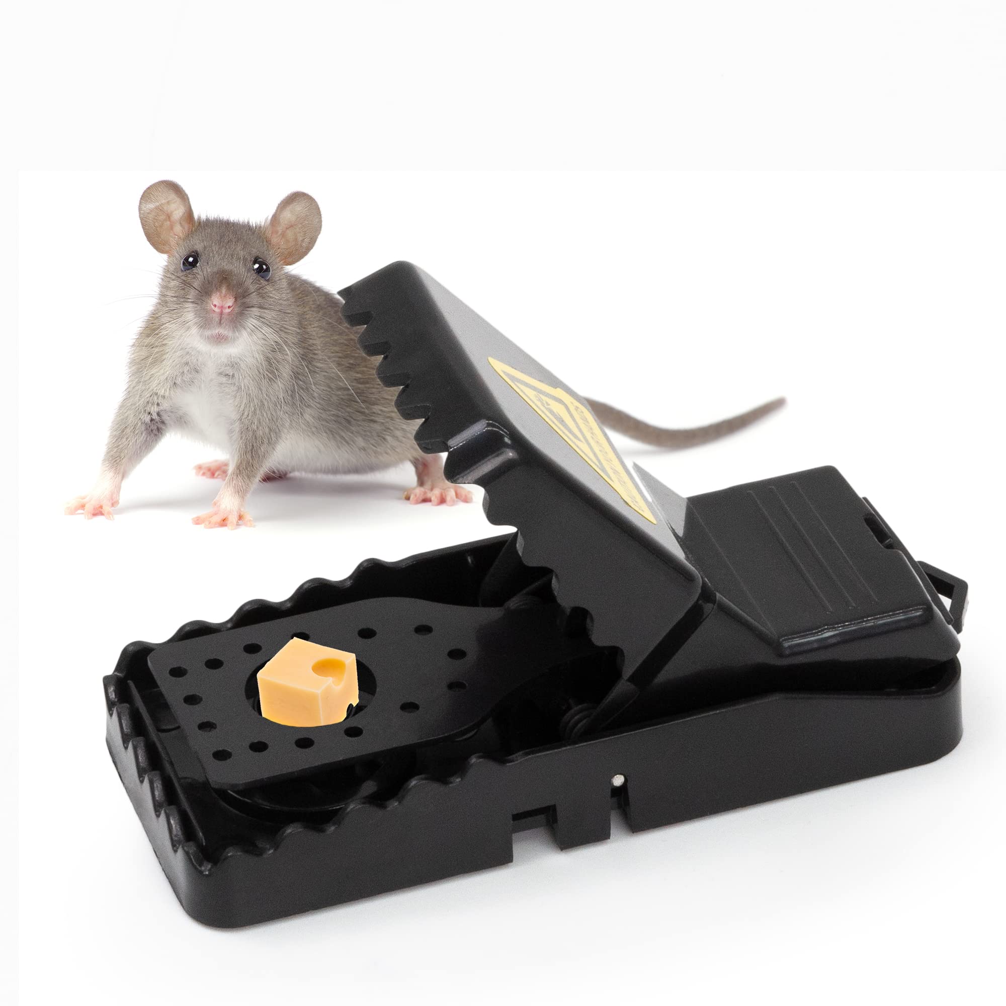 Effective Reusable Mouse Traps 6-Pack