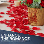 Realistic Decorative Rose Petals