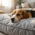 L Shaped Dog Bed-Pet Supplies-Fur & Bone-76 x 50 x 20cm-DREIBACH