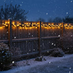 LED Fairy Lights-Christmas Decor-GloBrite-Blue-100 LED-DREIBACH
