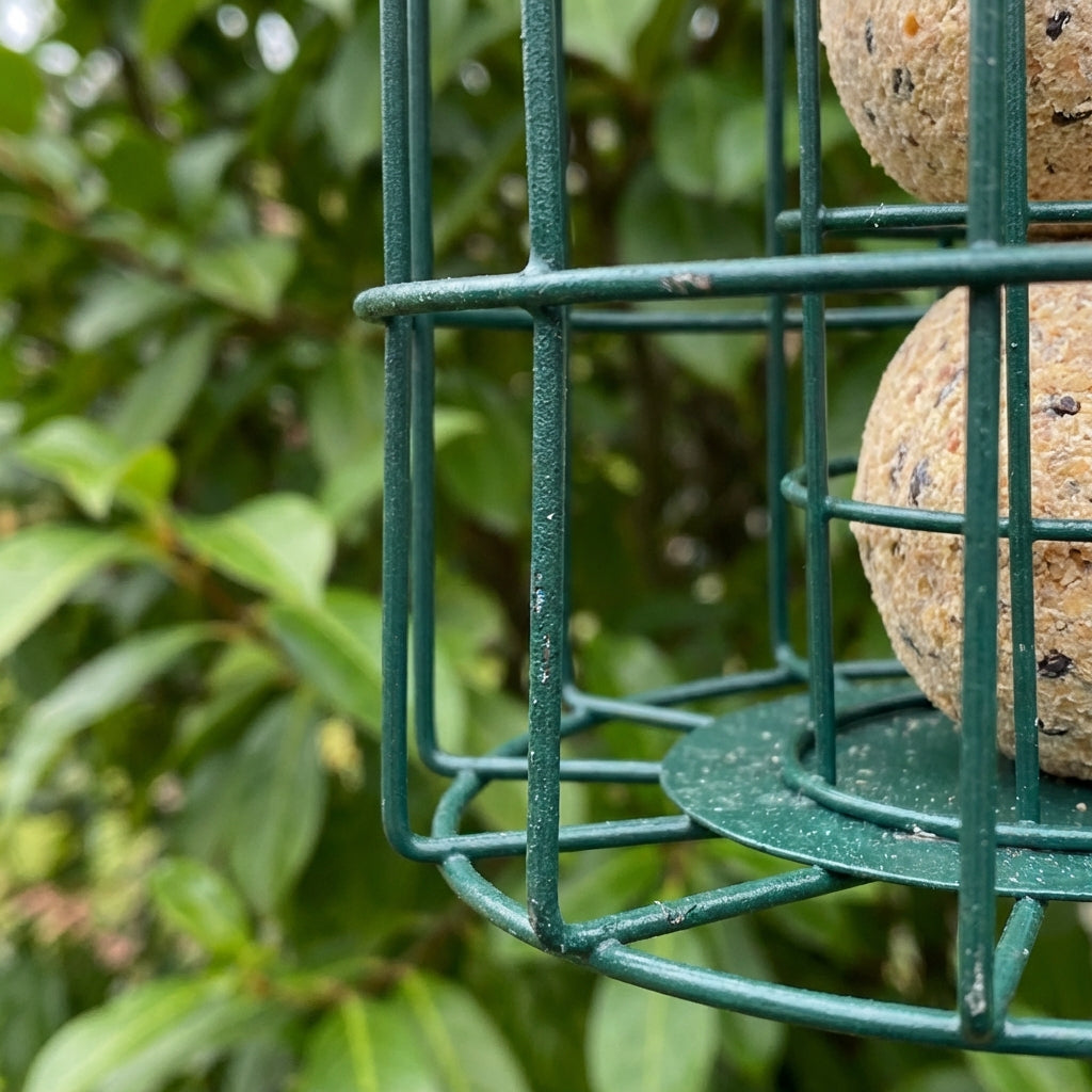 Squirrel Proof Wild Bird Feeder-DREIBACH-Fat Ball Feeder-DREIBACH