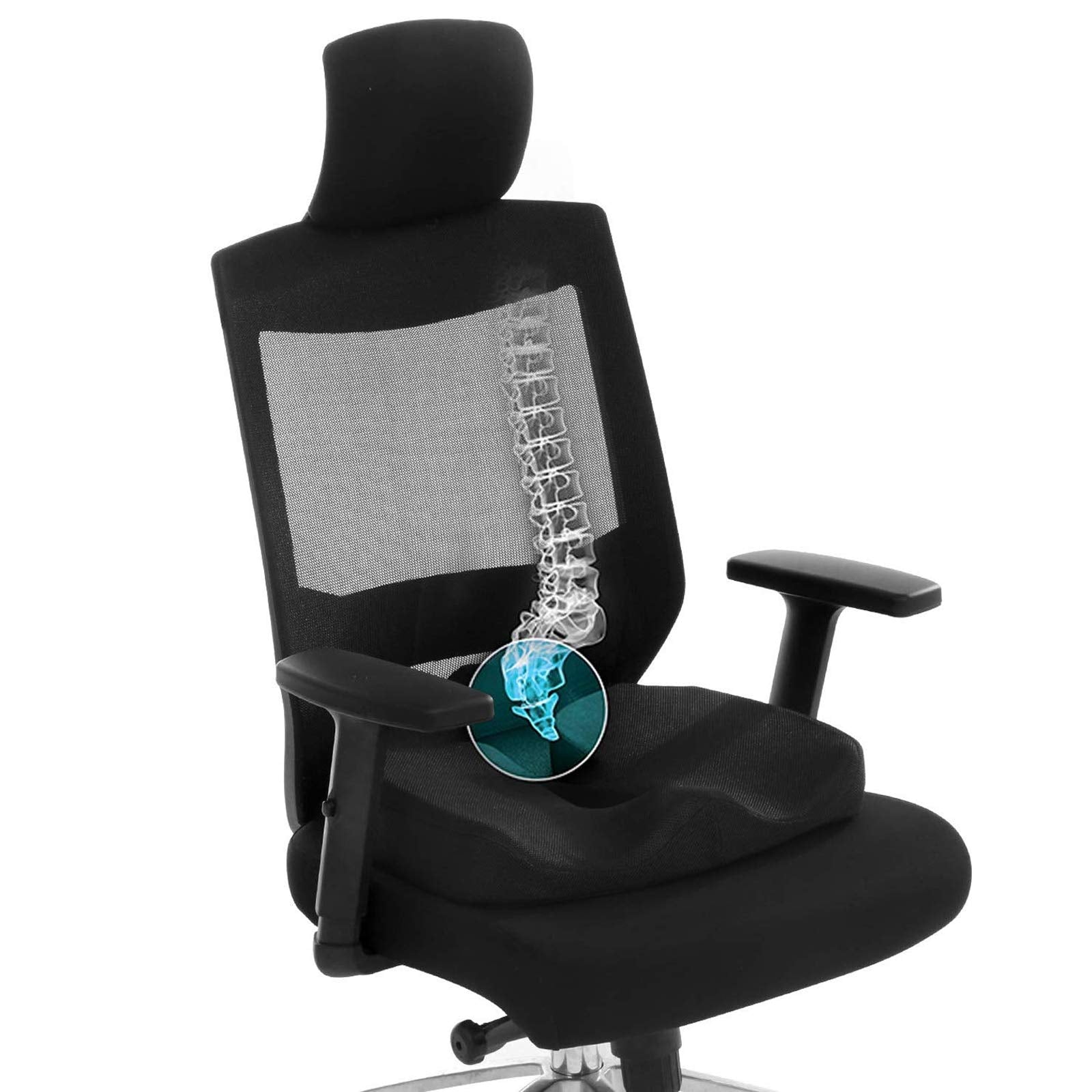 TANNESS Cushion - Orthopedic Memory Foam Support Cushion for Sciatica, Tailbone and Hip Pain - Pressure Relief on the Back and Coccyx in your Car Seat, Office Chair or Wheelchair-TANNESS-DREIBACH