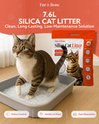 Ultra-Absorbent Silica Cat Litter-Pet Supplies-Fur & Bone-3.8L-DREIBACH