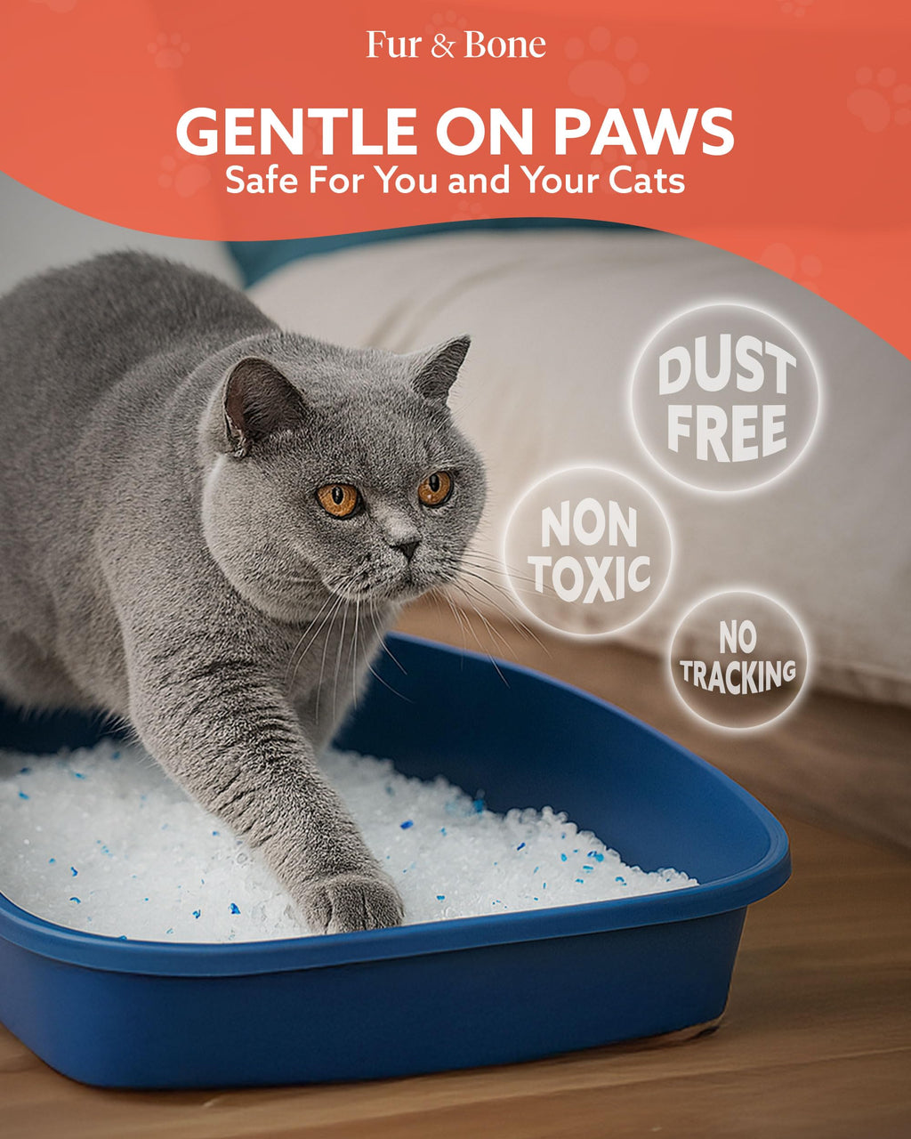 Ultra-Absorbent Silica Cat Litter-Pet Supplies-Fur & Bone-3.8L-DREIBACH